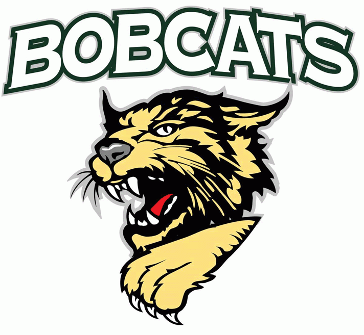 bismarck bobcats 2003 primary logo iron on transfers for clothing